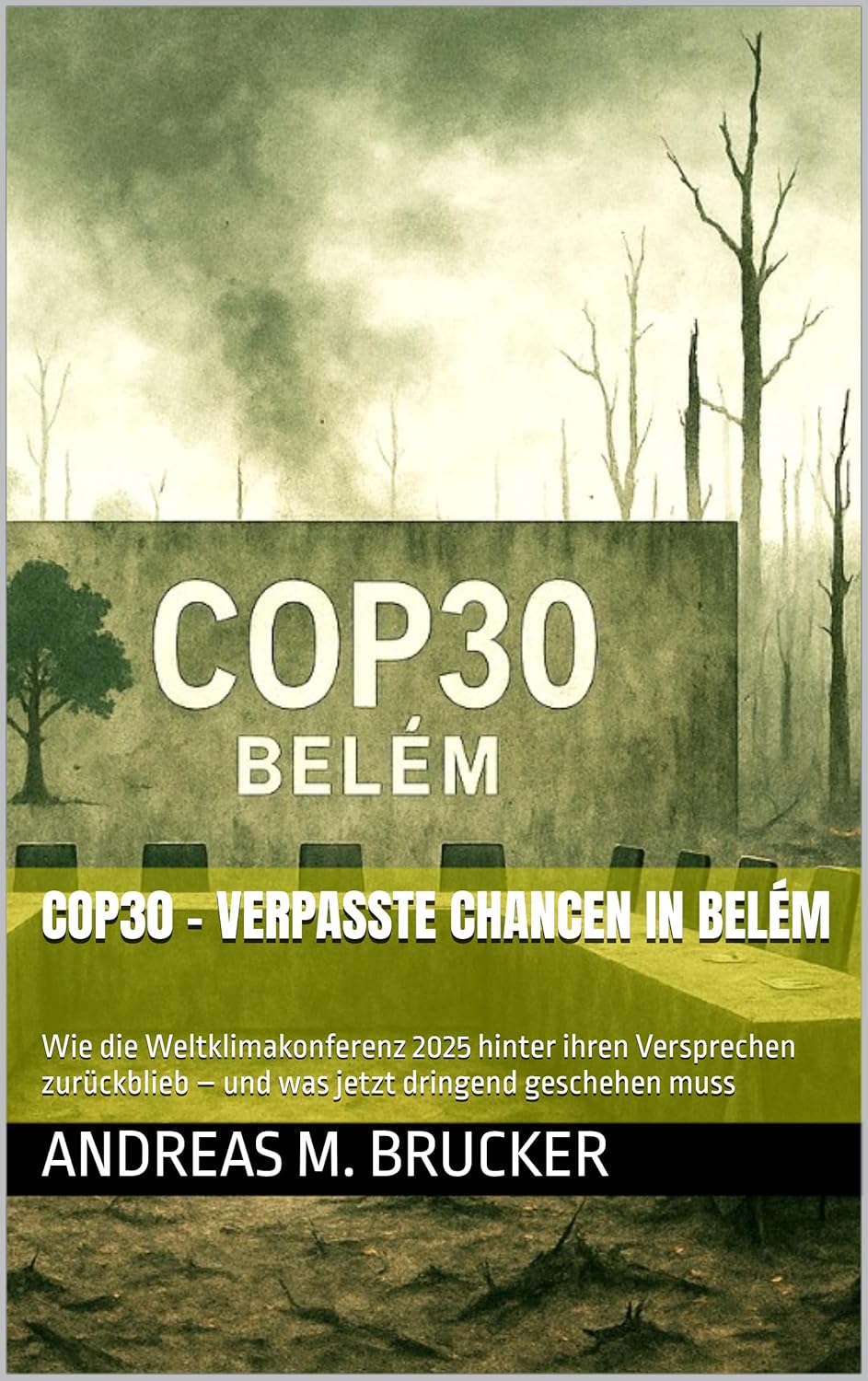 Cover COP30